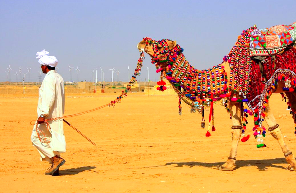 Rajasthan (Land of kings)