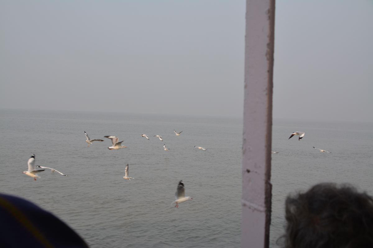 Ganga Sagar Tour