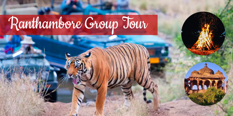 Senior Citizen Ranthambore Group Tour